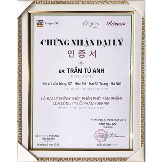 Ruột gối EVERON Flexible