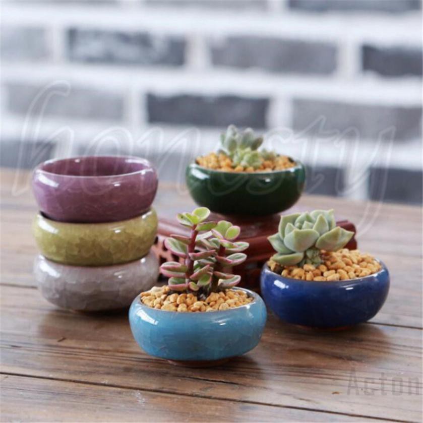 Chậu sứ mini siêu cưng trồng sen đá size 5.7x 3.2cm - Giao màu ngẫu nhiên như hình - Smart Baby