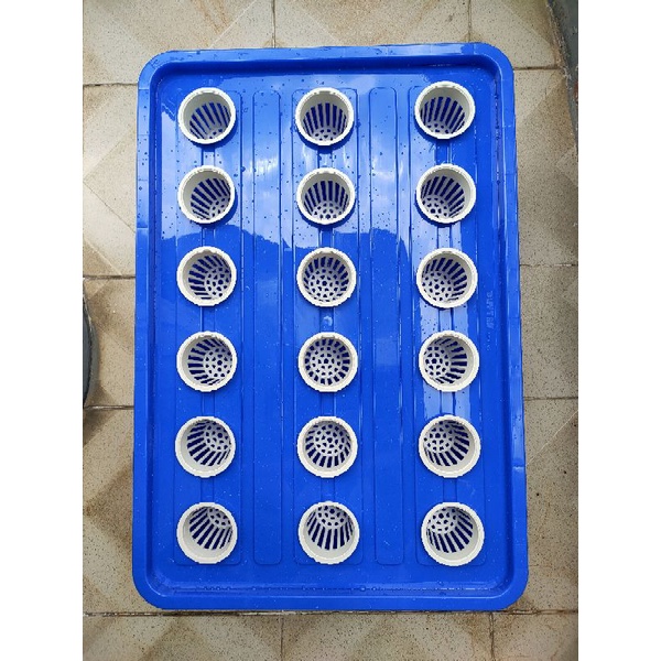 💥 Bộ thùng Thủy canh tĩnh 18 lổ + kèm Rọ.