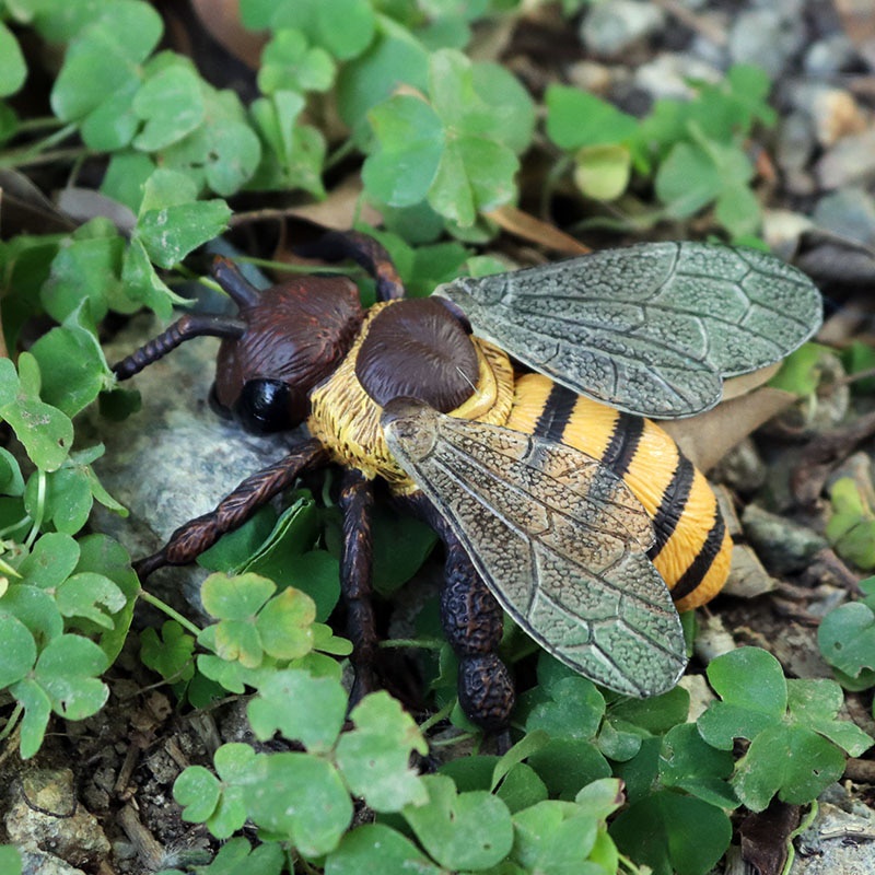 COB Realistic Insect Animal Figures Spider Butterfly Bee Scorpion Dragonfly Action Model Lifelike Insect Toy Figures Educational Learning Toys Birthday Set for Boys Girls Kids Toddlers