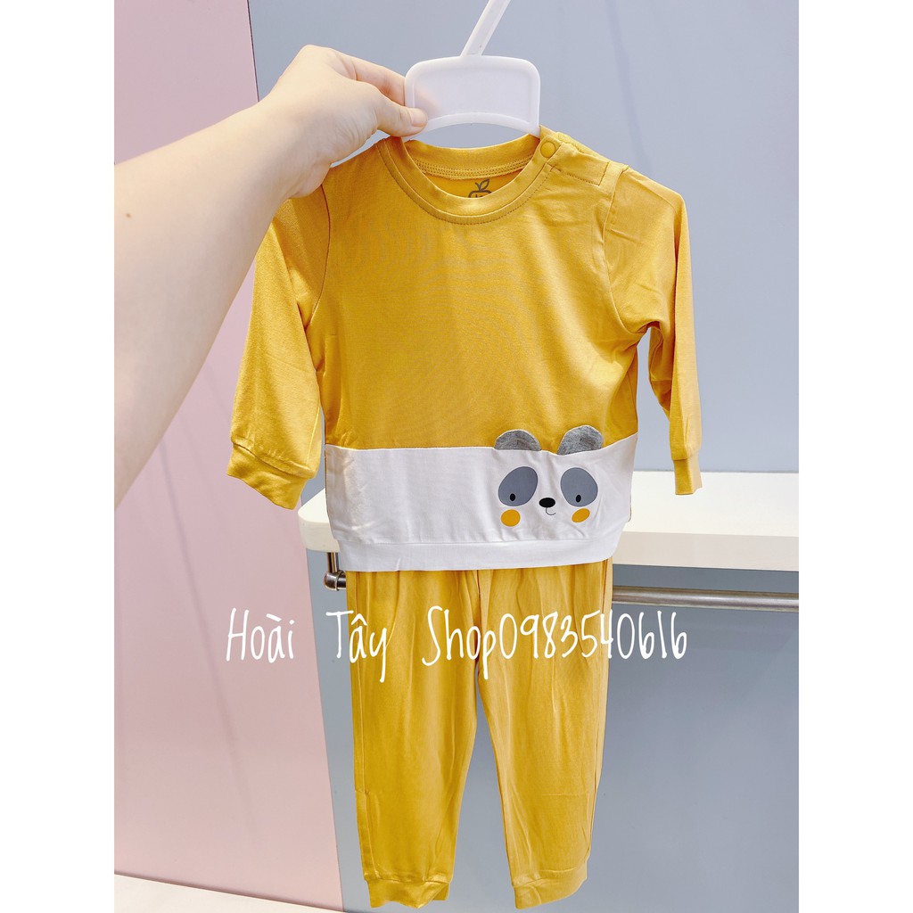 BỘ DÀI GẤU TRÚC