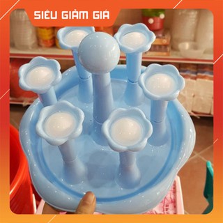 Úp cốc Việt nhật