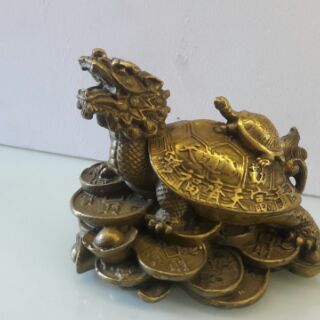 rùa đầu rồng dài 5cm