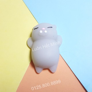 zSquishy Mochi Mèo Xámt