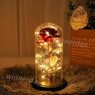 Hoa Hồng Trong Lồng Kính Có Đèn Led Trang Trí