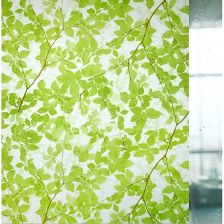 Decal dán kính rừng xanh