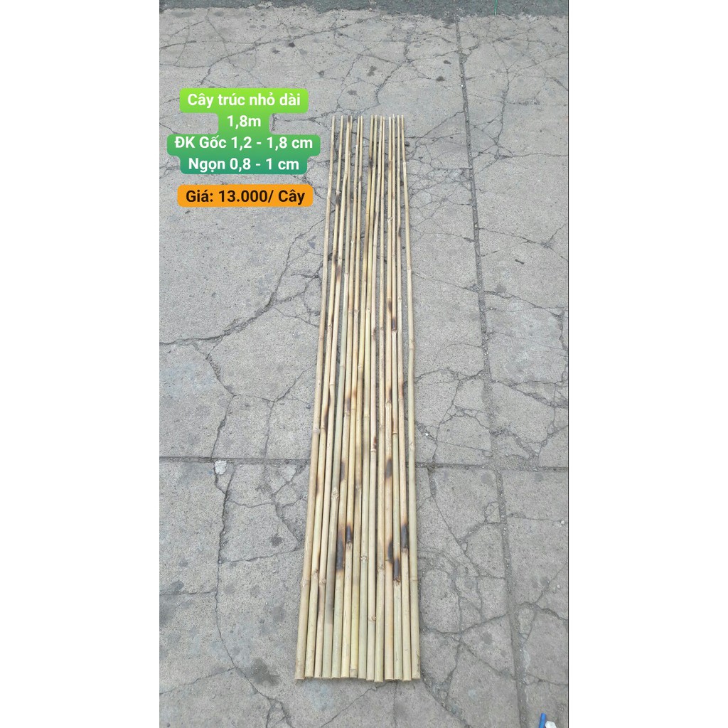Cây tre trúc nhỏ dài 1,8m (đường kính 1,2 - 1,8cm) dùng để trang trí