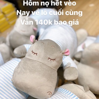 Gấu bông hà mã xám