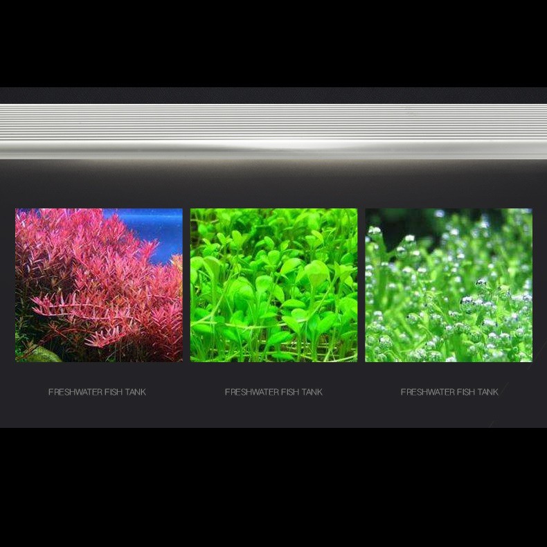 Đèn bể cá cảnh ODYSSEA SLIM X900