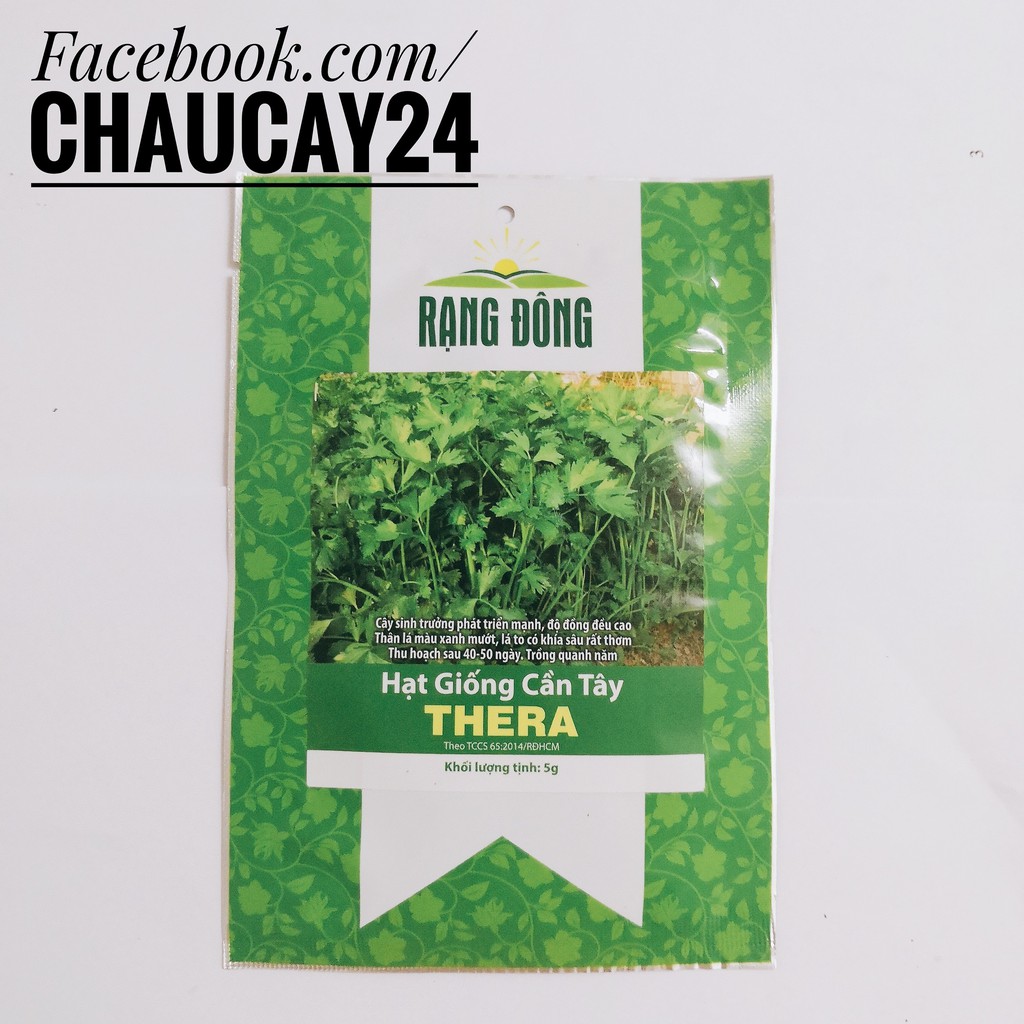 Hạt Giống Rau Cần Tây (5 gr) Chịu Nhiệt, Năng Suất cao