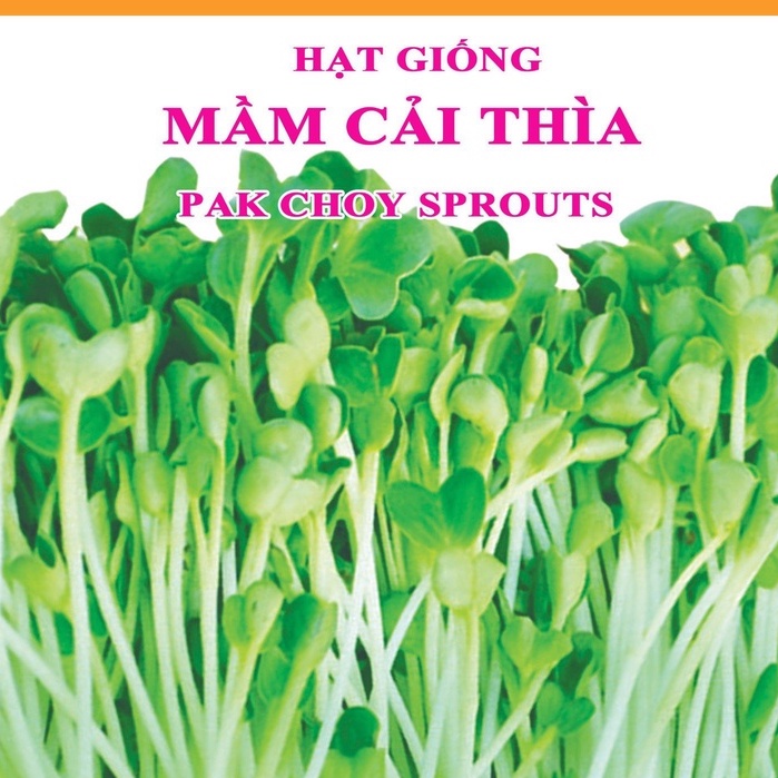 Hạt Giống Mầm Cải Thìa -1Kg
