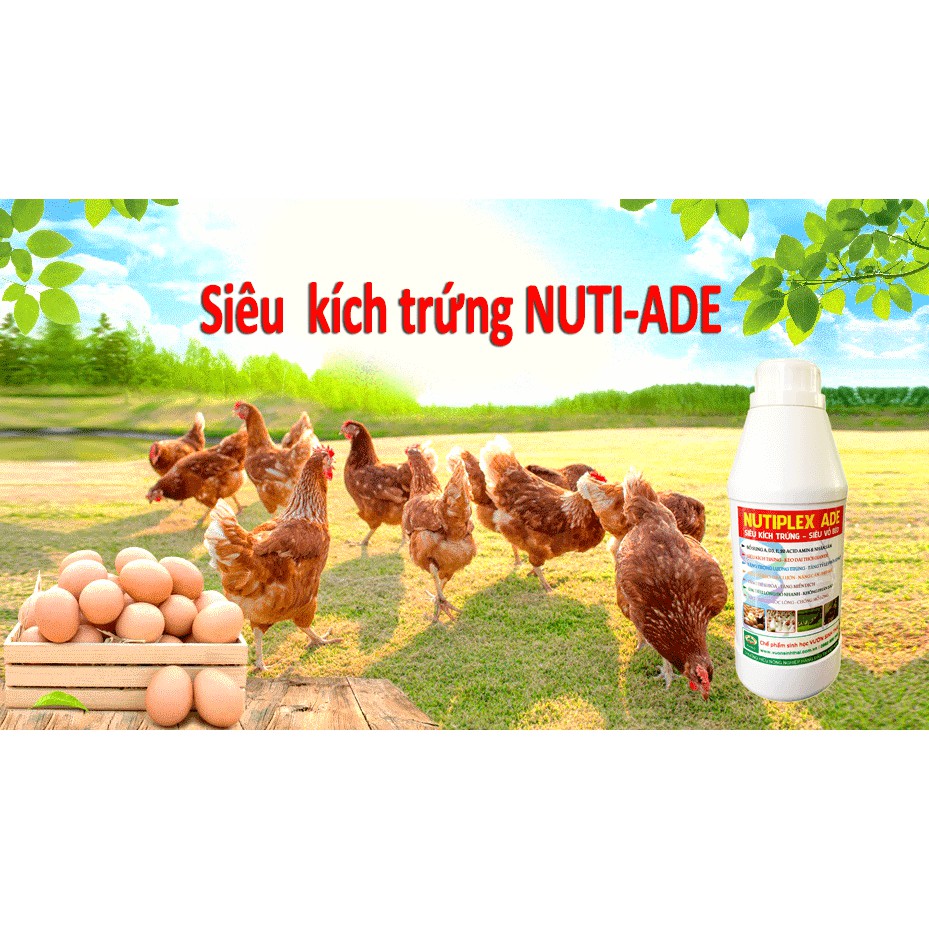Siêu kích trứng NUTI-ADE cho gà, vịt, cút đẻ