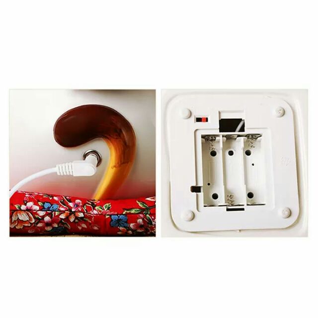 Mèo may mắn - Mèo Thiên Kim Vạn Lượng | BigBuy360 - bigbuy360.vn