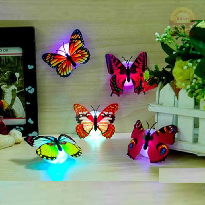 Combo 3 đèn LED hình con bướm xinh xắn dán tường
