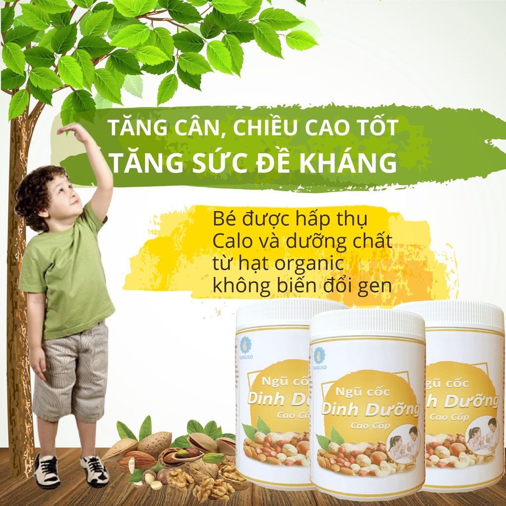 Ngũ Cốc Dinh Dưỡng Bà Bầu I Người Già I Trẻ Em Cao Cấp 17 Loại Hạt (500Gr)