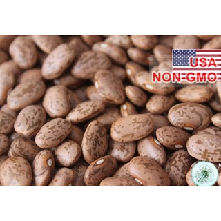 Hạt giống Đậu rồng  - Gói 5 hạt