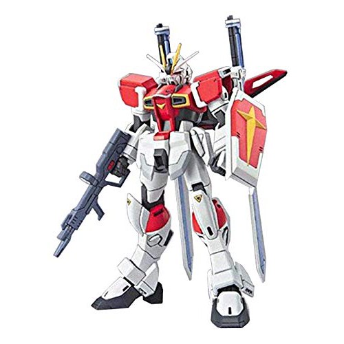 Mô hình Gundam đồng giá 150k TT HG Exia, Reborn, Seed Destiny