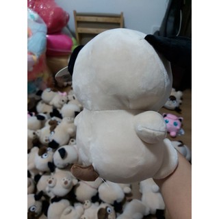 chó mặt quạu.nhăn.size 20cm
