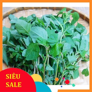 Hạt Giống Rau Dền Cơm (5 Gr) - [MUA 3 TẶNG 1 CÙNG LOẠI] - Dễ Trồng, Dinh Dưỡng Cao