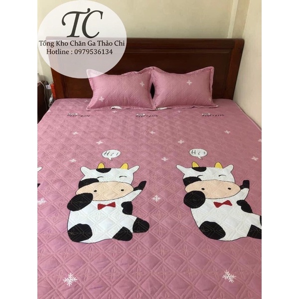 Bộ Ga Trần Bông + 2 Vỏ Gối Trần Bông Cotton Poly Dày Dặn