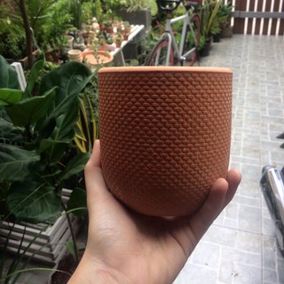 Chậu Đất Nung Da Rắn