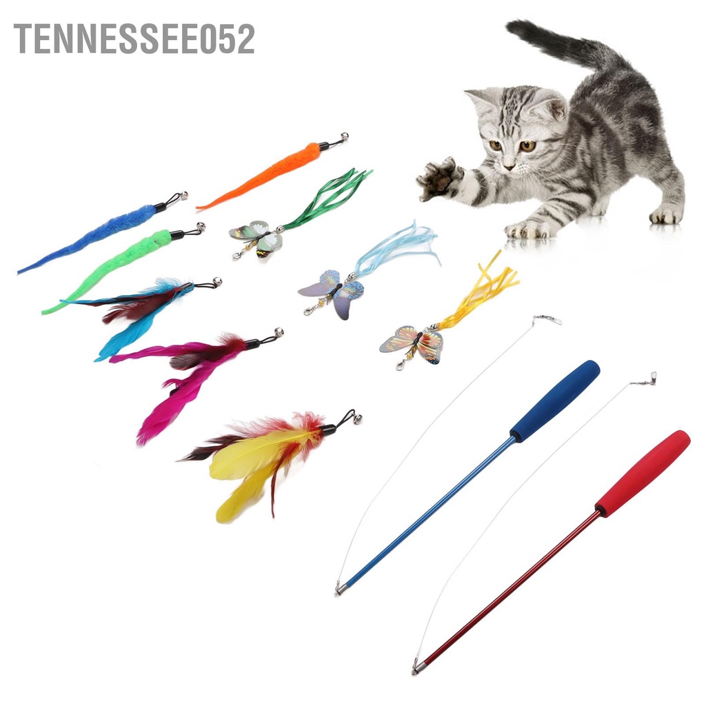 Đồ Chơi Lông Vũ TrọNg LượNg LượNg Cao Cho MèO