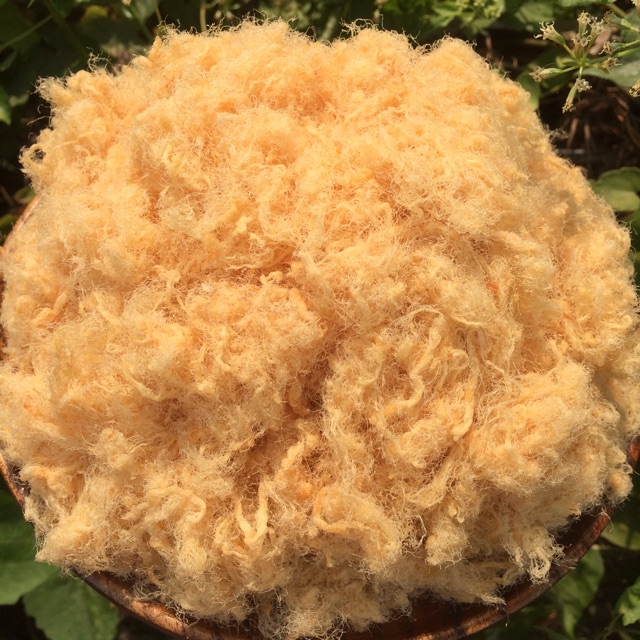 1KG CHÀ BÔNG HEO XÙ BÔNG GÒN tặng 100G