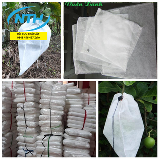 100 CÁI TÚI BAO ,BỌC BƯỞI ,DƯA LƯỚI ,NHO,NHÃN ... KÍCH THƯỚC 35*40