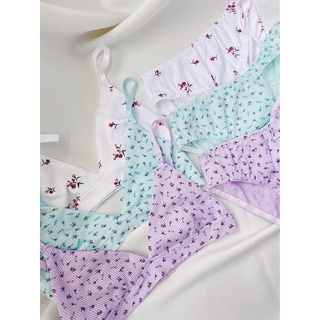 Đào Basic Bralette - áo lót cotton không gọng (tặng kèm mút)