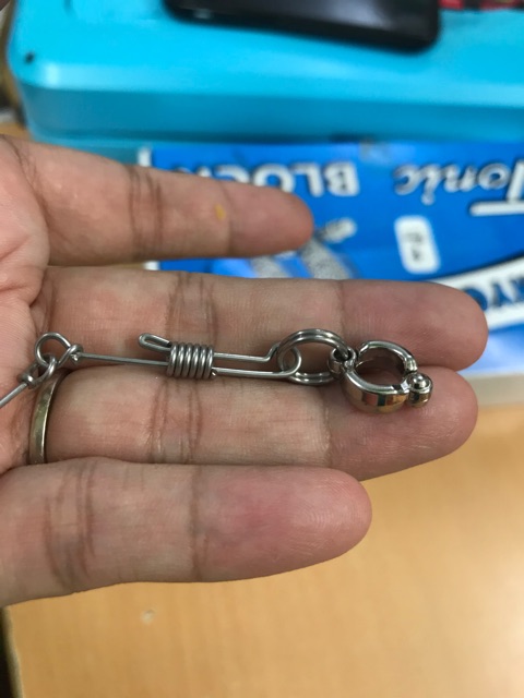 Vòng chân inox, hợp kim cho vẹt dạng đóng mở