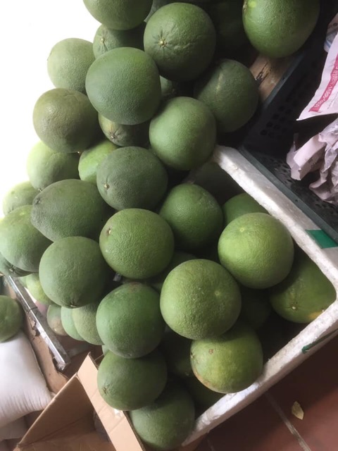 ] Bưởi da xanh bến tre ( 1-1.2kg ) | BigBuy360 - bigbuy360.vn