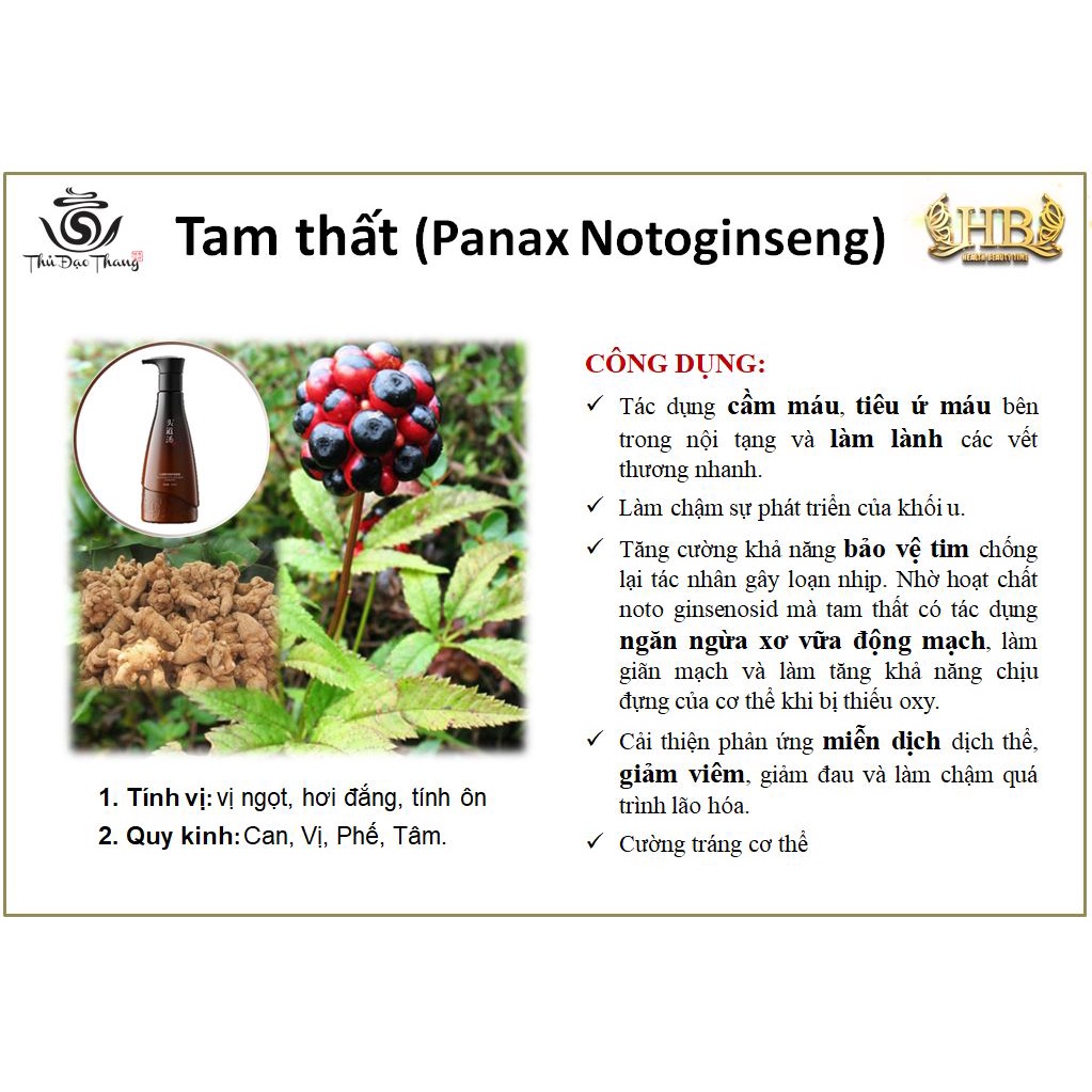 Dầu gội thảo dược Thủ Đạo Thang 300ML