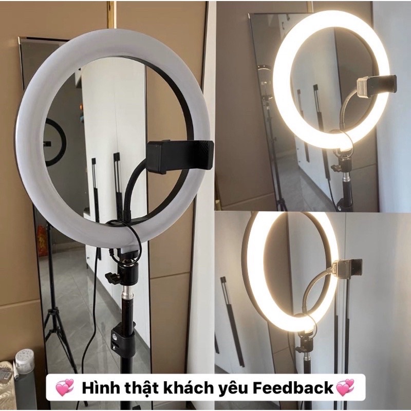 Đèn Livestream Full Box Loại 1 Size 26cm Hỗ trợ Chụp ảnh Makup bán hàng TikTok