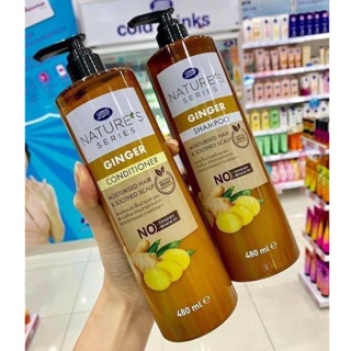 Cặp gội - xả dầu gừng thái