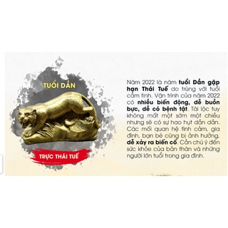 Bộ Thái Tuế Cải Vận Nhâm Dần 2022