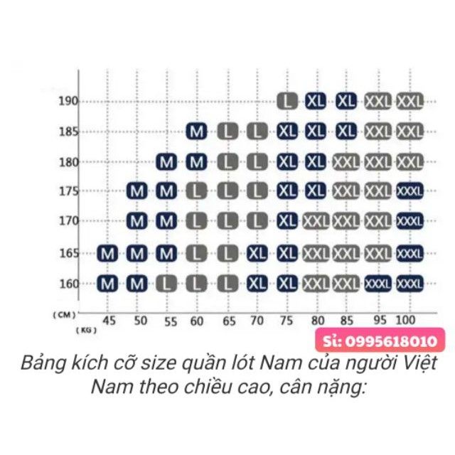 Hộp 5 QUẦN LÓT NAM - SỊP TAM GIÁC XUẤT NHẬT