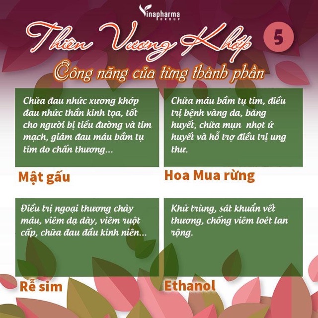 Thiên Vương Khớp Giảm Đau Dạng Xịt - Hỗ Trợ Điều Trị Xương Khớp