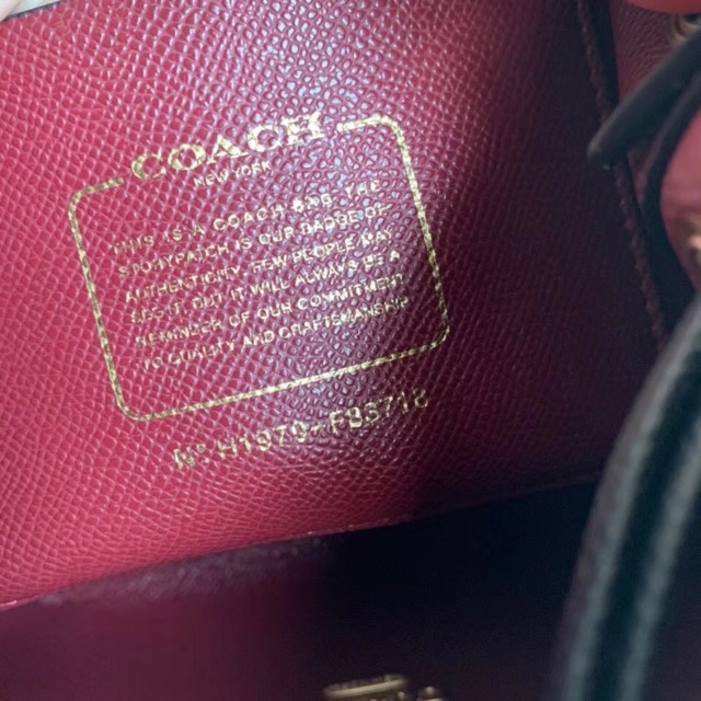 🛑TÚI COACH BUCKET DA XƯỚC 83718