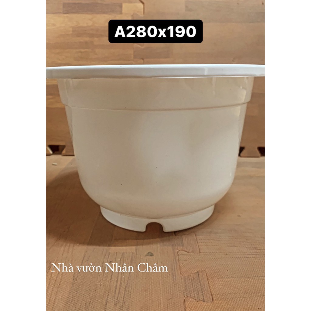 Chậu trồng cây trắng trơn A280