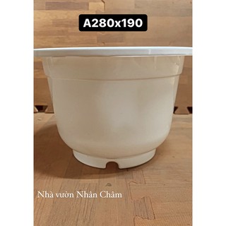 Chậu trồng cây trắng trơn A280
