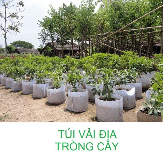 túi vải trồng cây 2 quai xách kích thước 30x30cm - Set 1 Cái