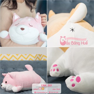 Chó bông Shiba inu