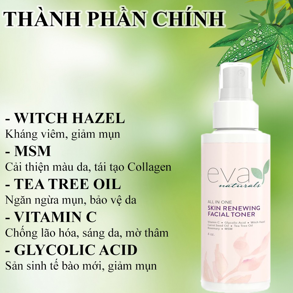 Nước Hoa Hồng Cân Bằng Độ Ẩm và Ngừa Mụn Eva Naturals Skin Renewing Facial Toner 120ml