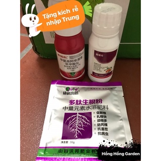 Combo trĩ, nhện đỏ hoa hồng