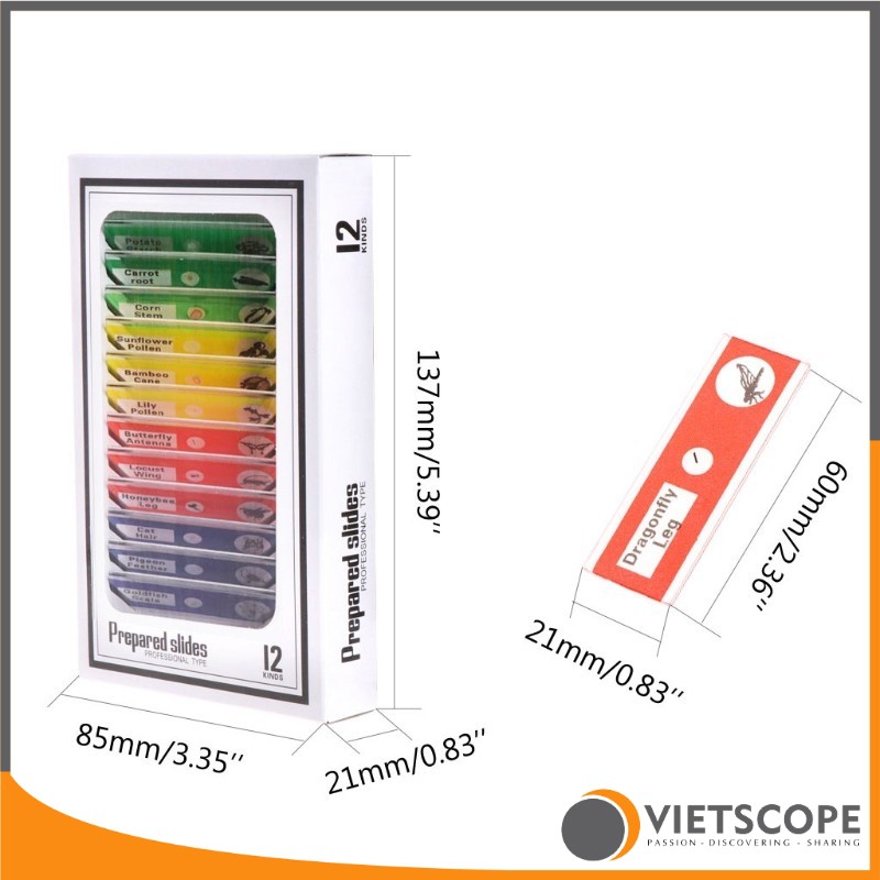 Bộ 12 mẫu tiêu bản đã qua xử lý dành cho kính hiển vi - Lam kính nhựa ABS