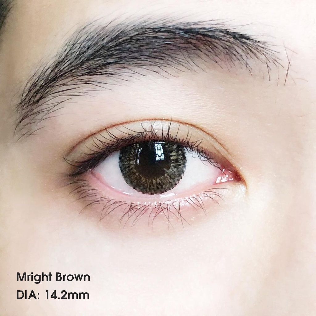 [ Ảnh Thật ] Lens Cận Màu Nâu Tự Nhiên Mright Brown 14.2mm - Kính Áp Tròng Hàn Quốc Vassen Sexy Me