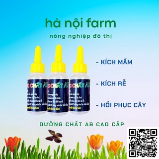 Dưỡng chất AB cho hoa lan - Nuôi dưỡng, kích thích mầm ki