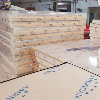 Nệm cao su non american 1m6 x 2m x 10 phân, mã số atd01
