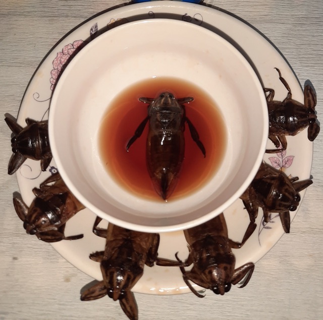 Nước Mắm Cà Cuống Tinh Dầu