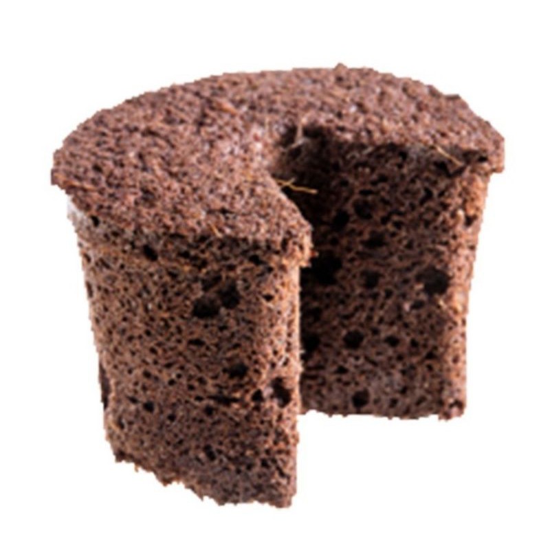 (set 10 cái) mút xốp ươm ki keiki cây con lan